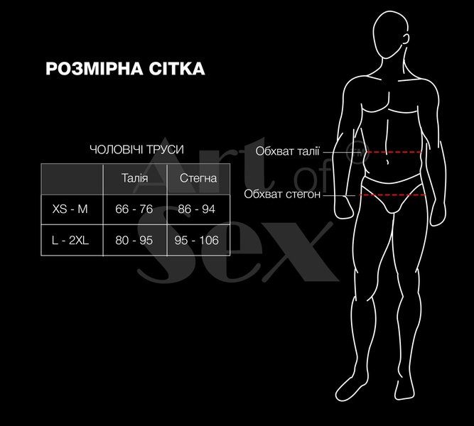 Чоловічі трусики XS-2XL з силіконовою анальною пробкою Art Sex - Sexy Panties plug size S Black , SO5877 SO5877 фото