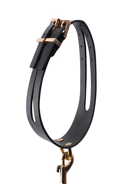 Поводок с ошейником GP PREMIUM COLLAR LEASH SET BLACK , T520133