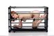 Міцна розбірна клітка для покарань Kennel Adjustable Bondage Cage , SO4425 SO4425 фото 3