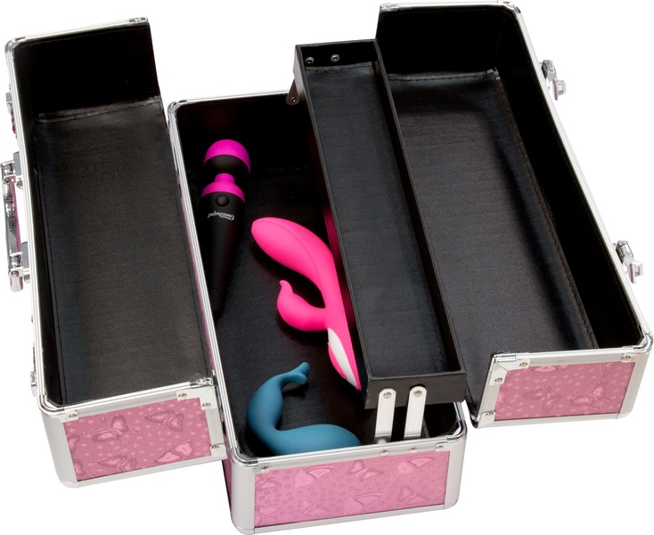 Большой кейс для хранения секс-игрушек BMS Factory Large Lokable Vibrator Case Pink, кодовый замок SO8900 SO8900 фото