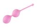 Вагинальные шарики Femintimate Kegel Balls, диаметр 3,5 см, масса 77 г Розовый FM40601 FM40601 фото 1