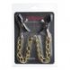 Зажимы на соски Nipple play Long Chain, Gold , 810294