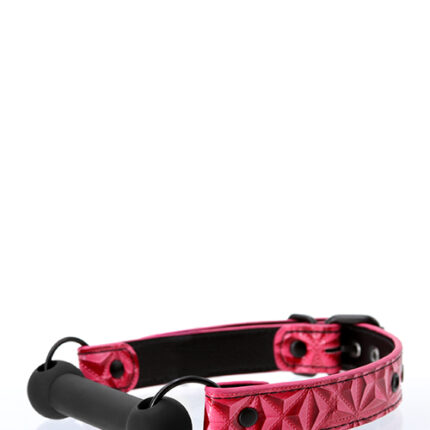 Кляп SINFUL BAR GAG PINK