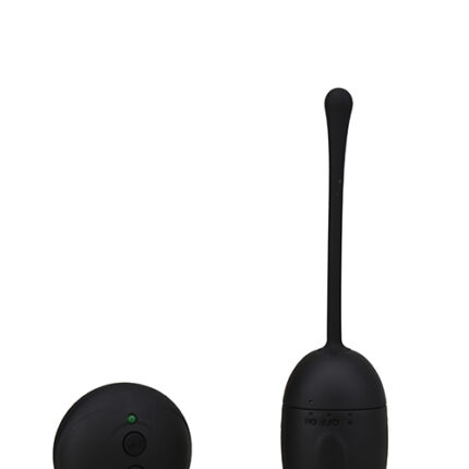 Віброяйце REMOTE CONTROL EGG BLACK