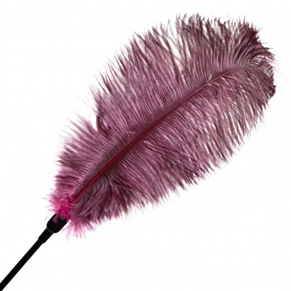 Тіклер-Перо на довгій ручці DS Fetish Burgundy, бордовий