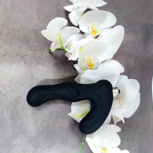 Масажер простати Loveshop prostate massager