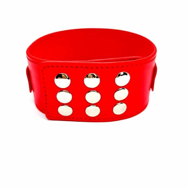 Нашийник з повідцем DS Fetish Collar with leash red metal