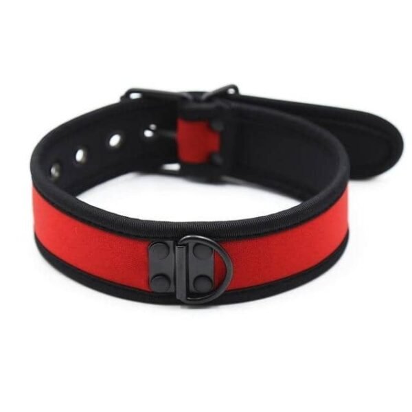 Нашийник з неопрену DS Fetish Collar neoprene red