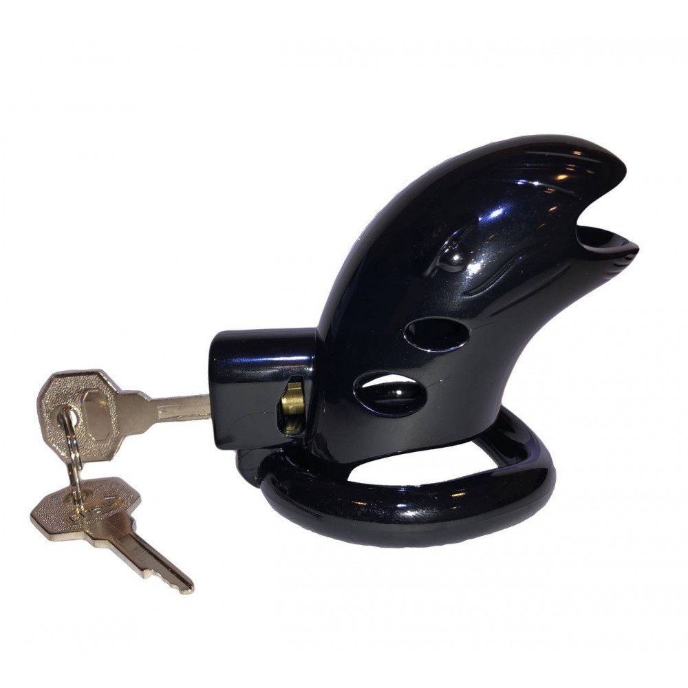 poias-vernosty-chernyi-yz-plastyka-95776780597173_-1c8d26b39e