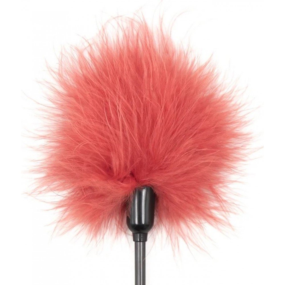 Тіклер на короткій ручці, перо, червоний, 20 см - Зображення 2