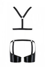 Komplekt Muzhskoi  Setaron Black S M Passion _cfe