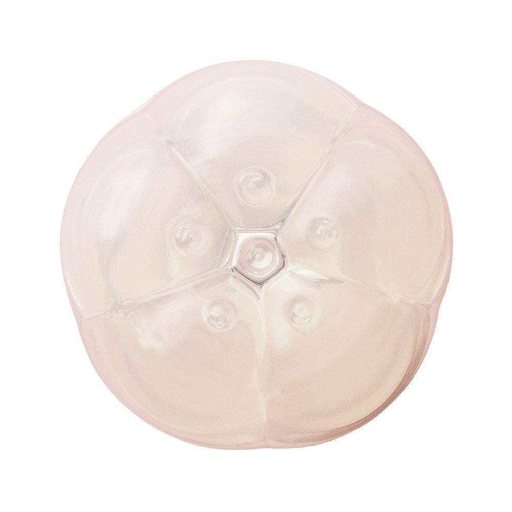 massazher-dlia-klytora-relefnyi-iroha-petit-plum-belyi-5.3-kh-3.5-sm-89796175146357_10460443e0.jpg