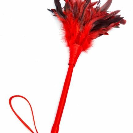 Тіклер DS Fetish зі штучного пір'я, на довгій ручці, червоний, 35 см