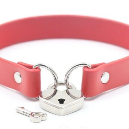 Нашийник DS Fetish DS Fetish Locking collar red
