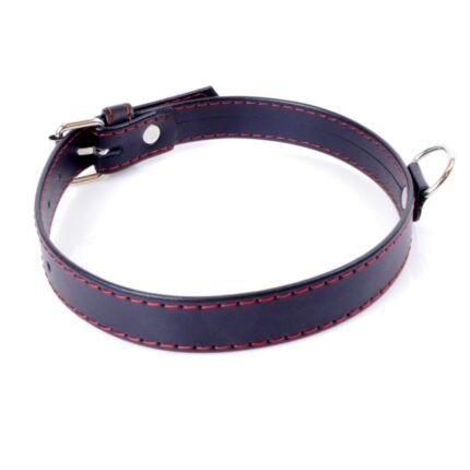 Нашийник Fetish Boss Series 2 см з червоною лінією