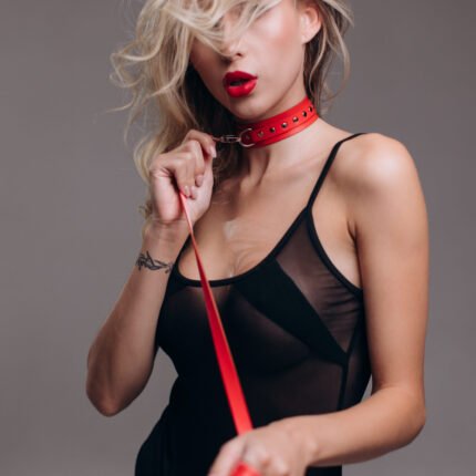 Нашийник з повідцем Candy Hero "модель Ch41.1" екокожа RED