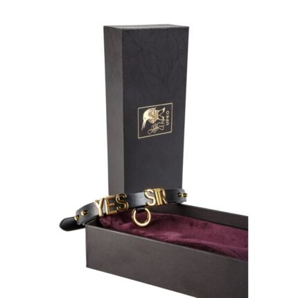 Чокер із написом YES SIR від UPKO з італійської шкіри, чорні із золотою фурнітурою