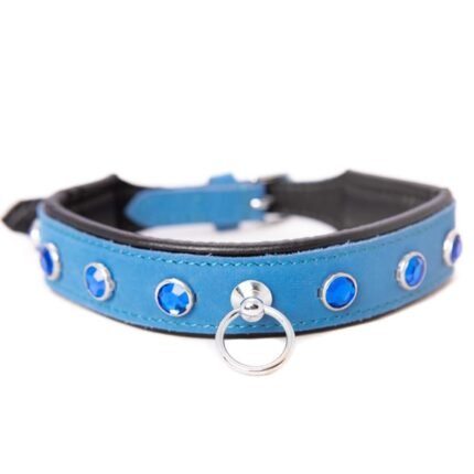 Нашийник зі стразами тонкий DS Fetish шкіряний, блакитний (Голландія)
