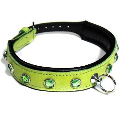 Нашийник зі стразами тонкий DS Fetish шкіряний, салатовий (Голландія)