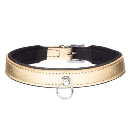 Нашийник золото з кільцем DS Fetish шкіряний (Голландія)