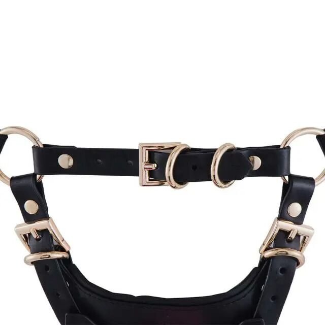 Сбруя зі страпоном LOCKINK SEVANDA Queen Sheba Set with Pink Dildo - Зображення 5